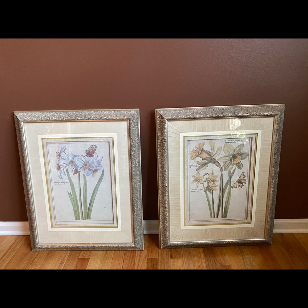 Two beautiful botanical art frames.